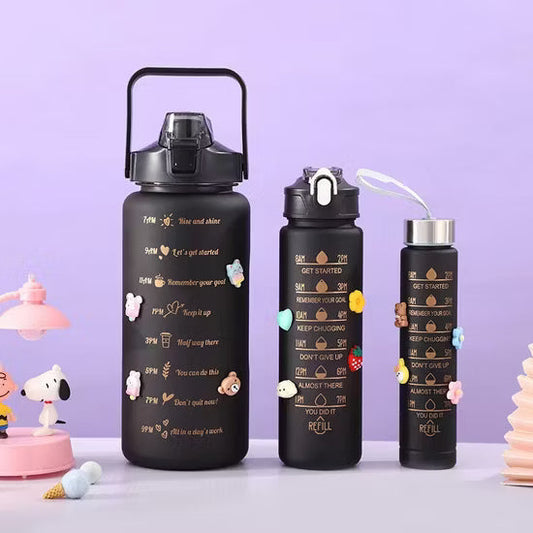 Pack Of 3 Motivational Sports Water Bottles (Random Colour)
